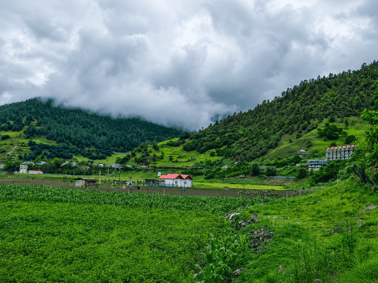 North East India Tour with Majuli and Arunachal Pradesh