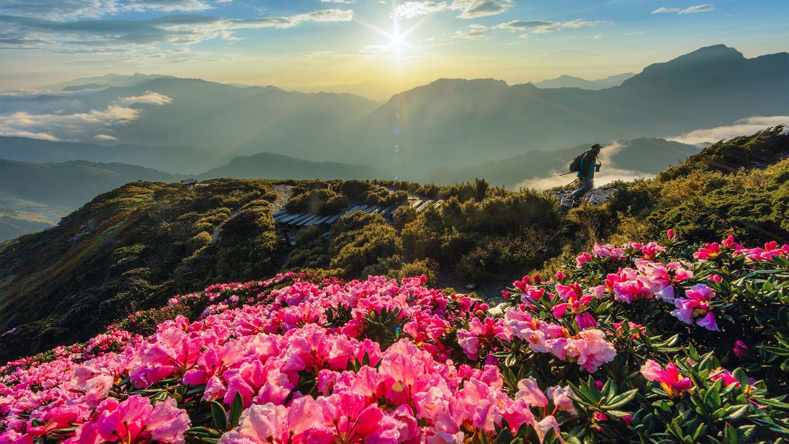4 Days Taiwan Tour Package