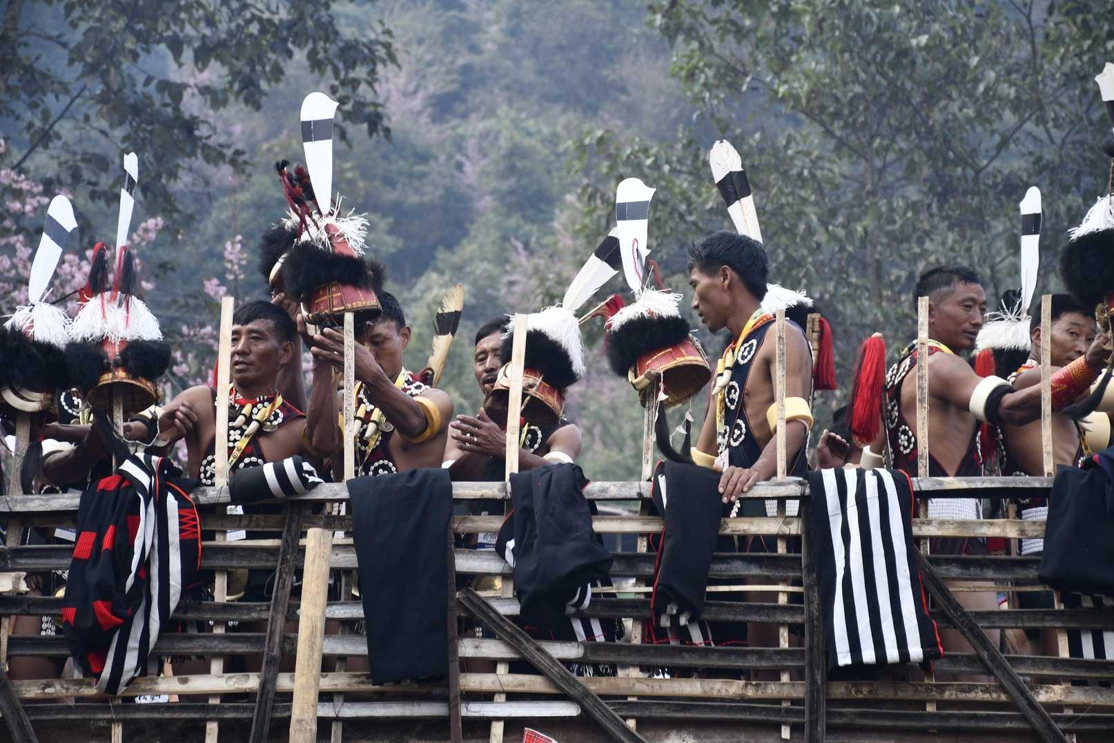 Hornbill