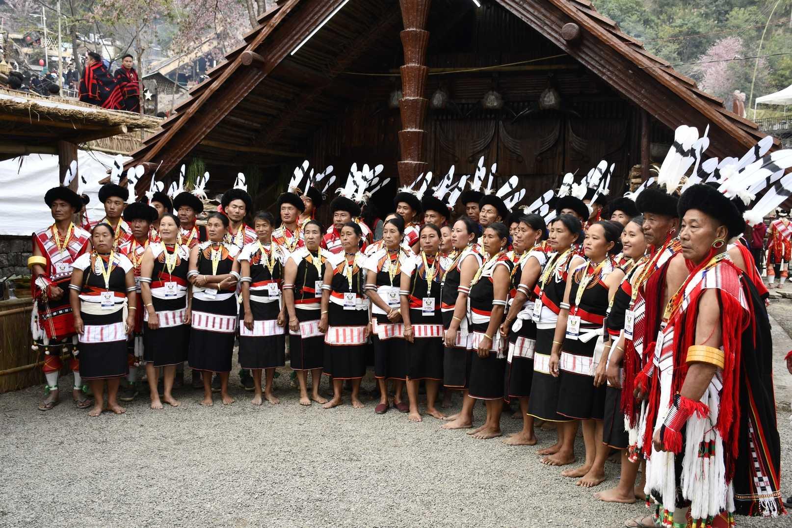Hornbill