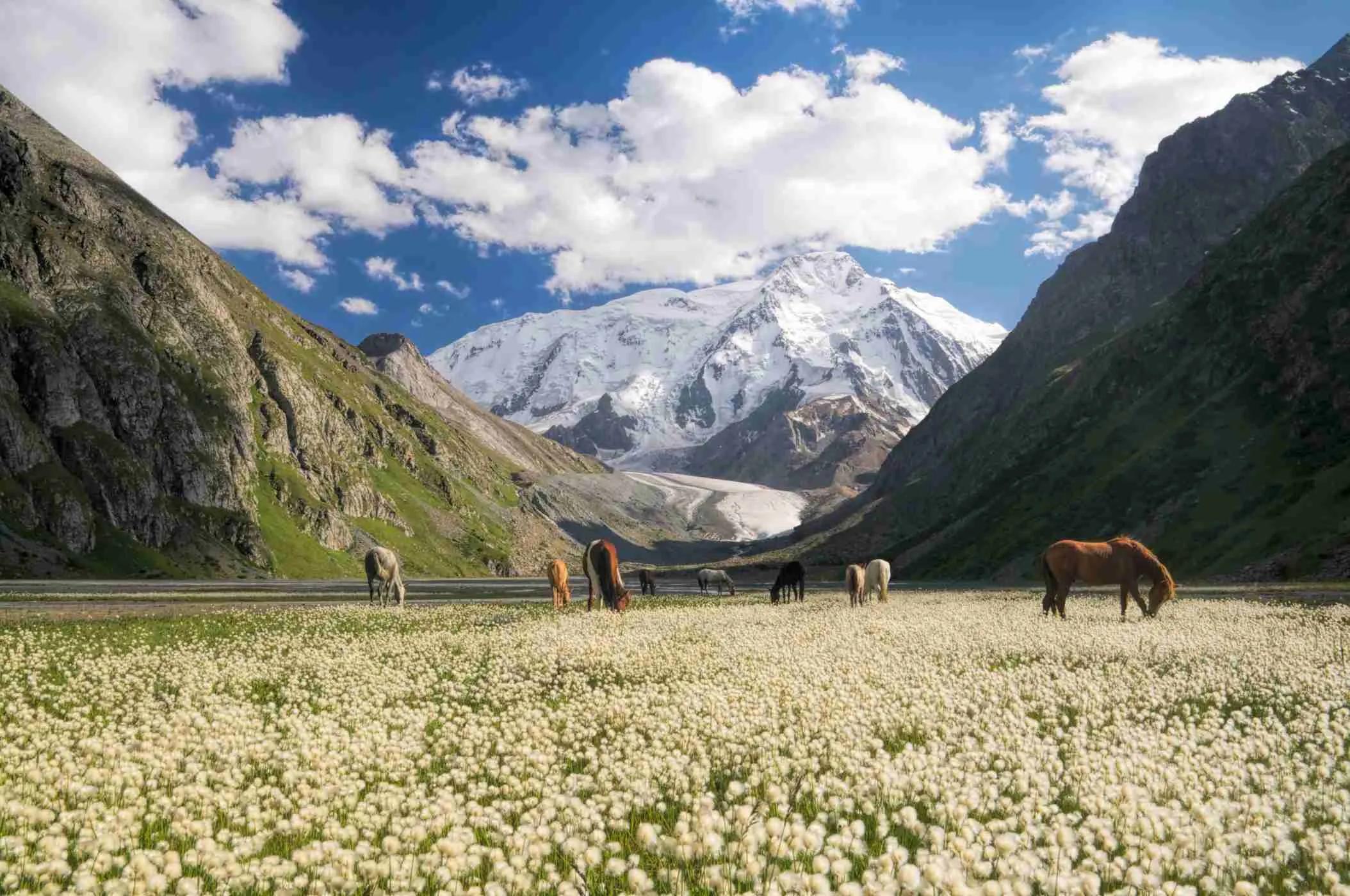 Trekking to Ala-Kol Lake, 5 days