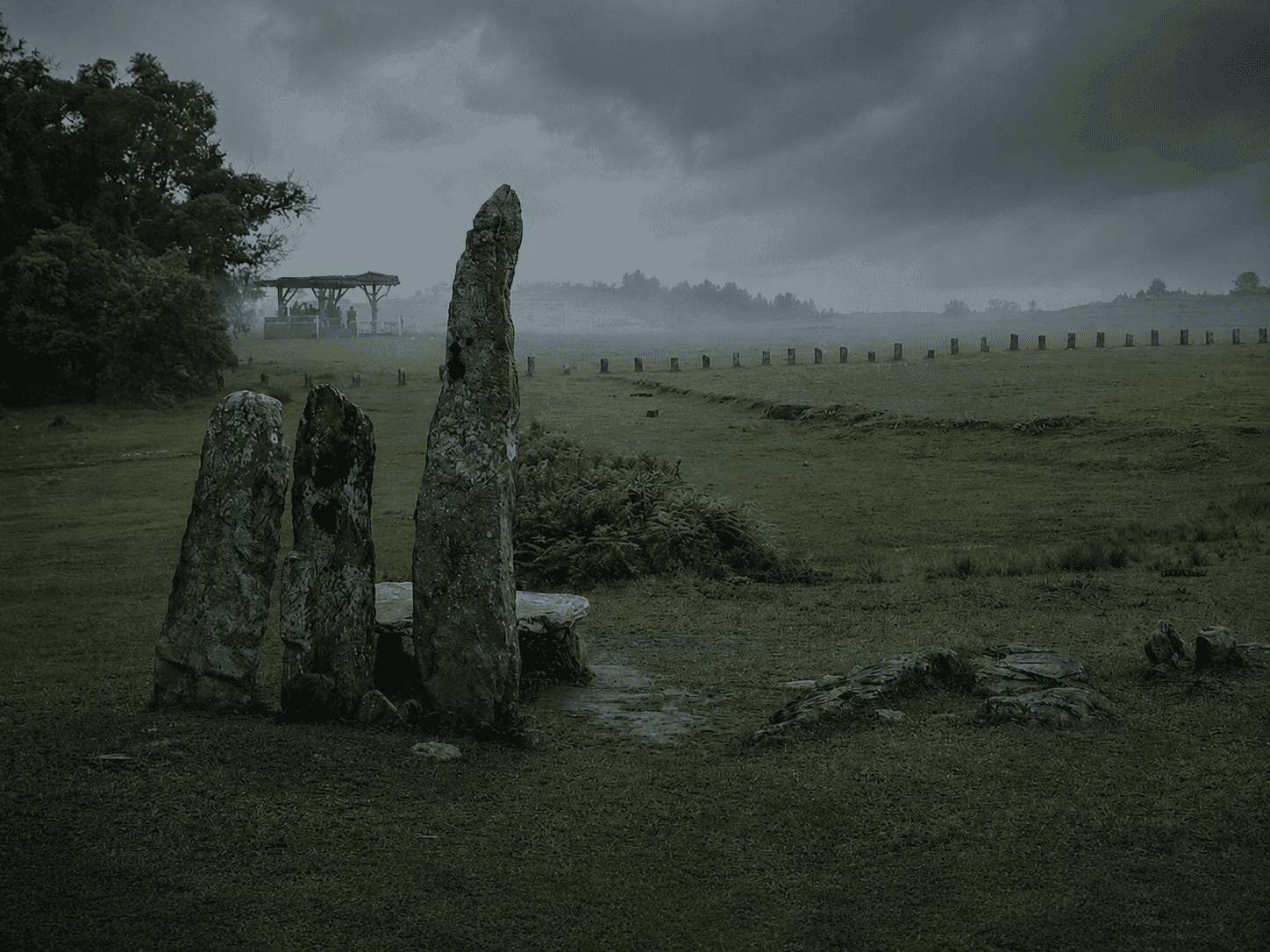 Meghalaya with Mawphlang Sacred Forest Trek