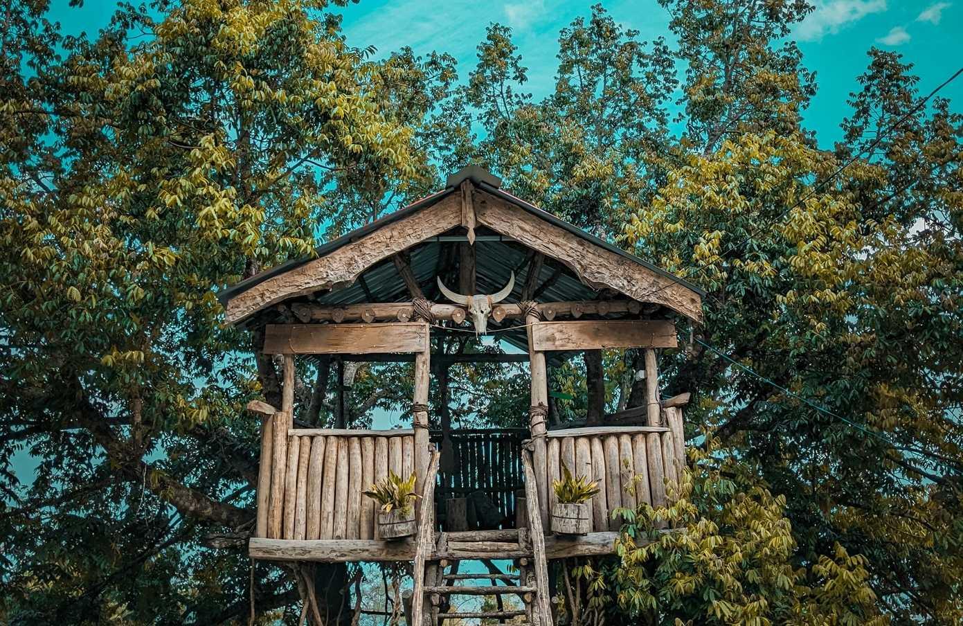 Nagaland