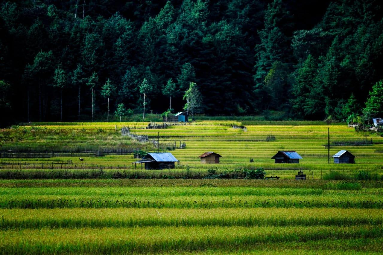 Weekend Getaway to Valparai