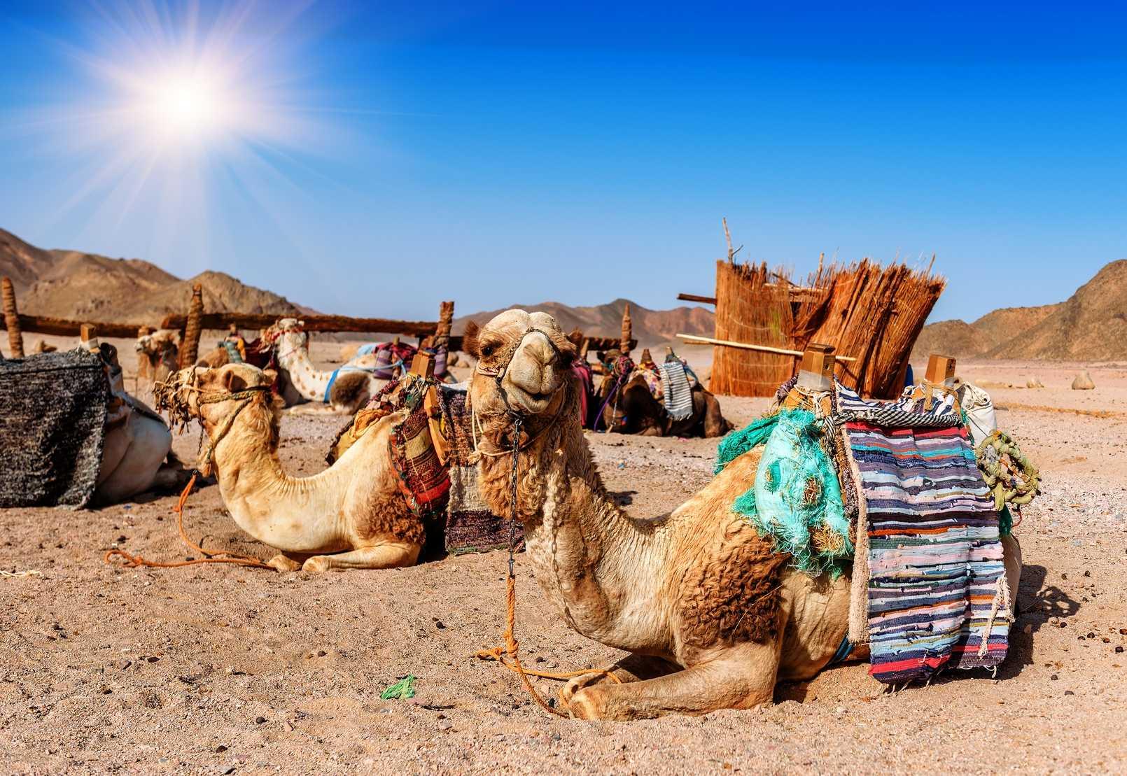 Oman