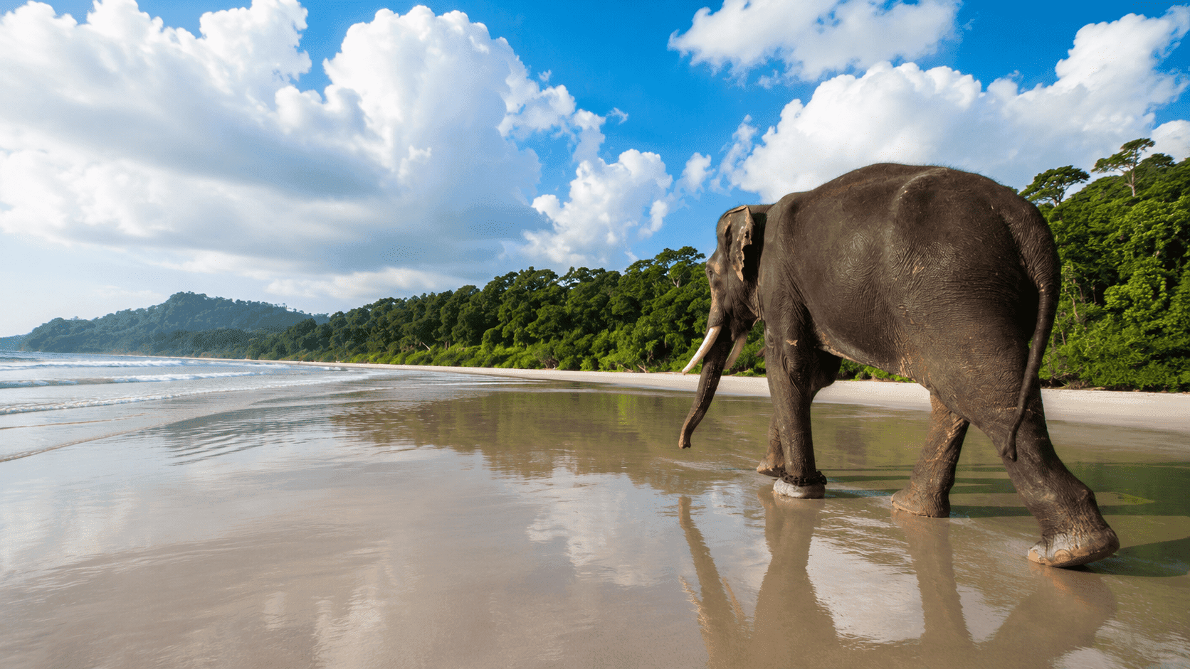 5 Days 4 Nights Affordable Andaman Adventure