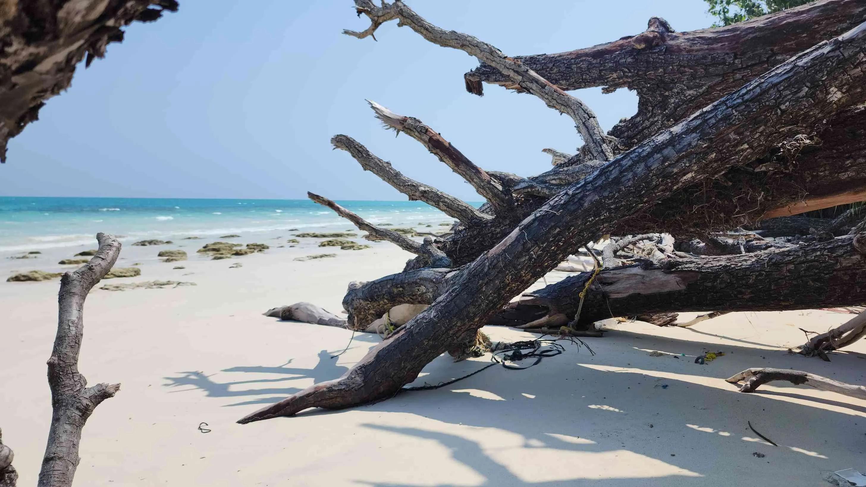 Havelock Island: The Jewel of the Andaman Islands