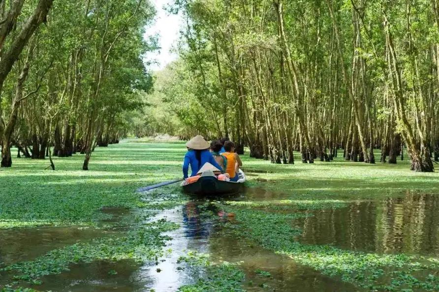 Image for Full Day Excursion to Mekong Delta from Ho Chi Minh City